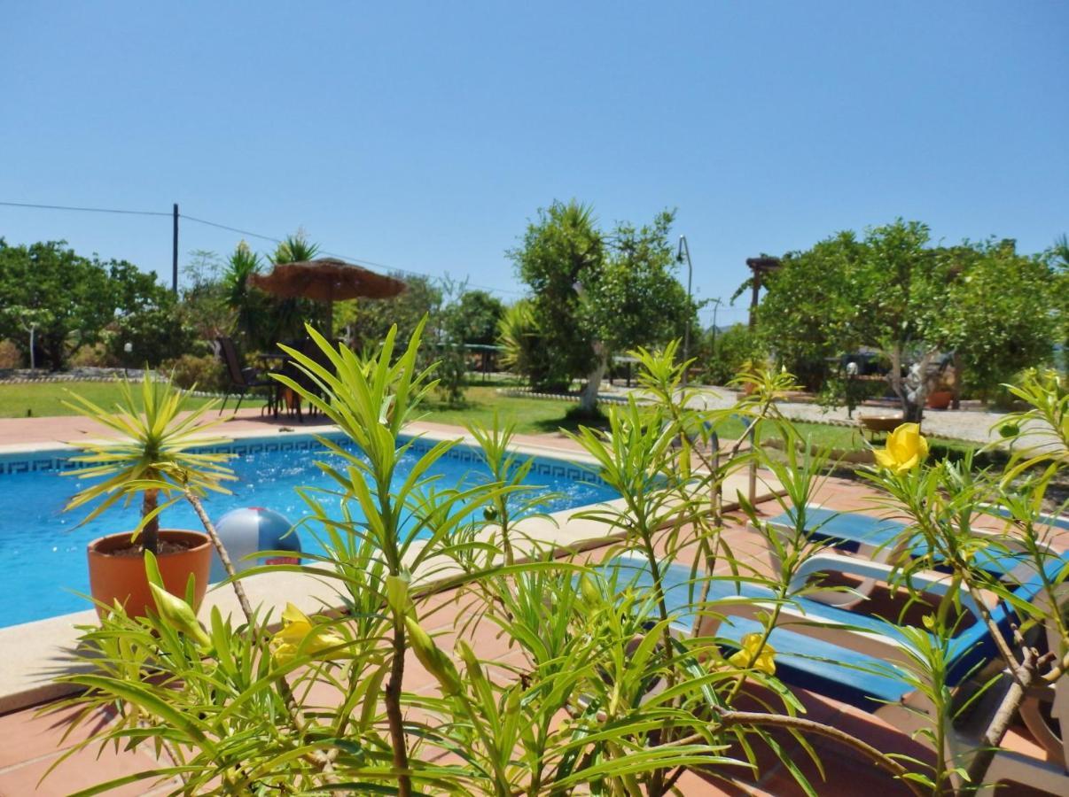 Bed and Breakfast Escuela La Crujia Velez Malaga Exteriér fotografie